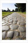 Via Appia by Anonymous