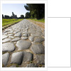 Via Appia by Anonymous