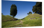 Via Appia by Anonymous