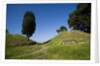Via Appia by Anonymous