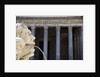 The Pantheon by Anonymous