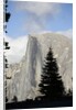 Half Dome in Yosemite National Park by Anonymous