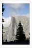 Half Dome in Yosemite National Park by Anonymous