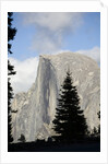 Half Dome in Yosemite National Park by Anonymous