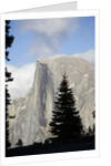 Half Dome in Yosemite National Park by Anonymous