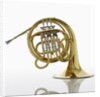 French Horn by Anonymous