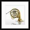 French Horn by Anonymous