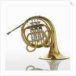 French Horn by Anonymous