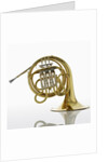 French Horn by Anonymous