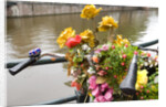 Bicycle with Flowers Beside a Canal by Anonymous