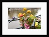 Bicycle with Flowers Beside a Canal by Anonymous