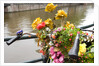 Bicycle with Flowers Beside a Canal by Anonymous