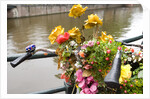 Bicycle with Flowers Beside a Canal by Anonymous