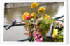 Bicycle with Flowers Beside a Canal by Anonymous