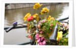 Bicycle with Flowers Beside a Canal by Anonymous