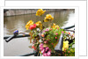 Bicycle with Flowers Beside a Canal by Anonymous