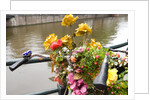Bicycle with Flowers Beside a Canal by Anonymous