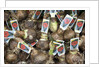 Flower Bulbs for Sale at the Bloemenmarkt by Anonymous