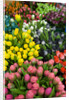 Tulips for Sale at the Bloemenmarkt by Anonymous