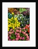 Tulips for Sale at the Bloemenmarkt by Anonymous