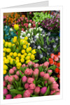 Tulips for Sale at the Bloemenmarkt by Anonymous