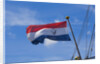 Dutch National Flag by Anonymous