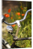 Old Bicycle and Flowers by Anonymous