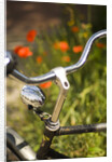 Old Bicycle and Flowers by Anonymous