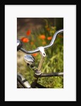 Old Bicycle and Flowers by Anonymous
