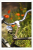 Old Bicycle and Flowers by Anonymous