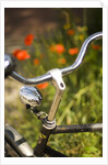 Old Bicycle and Flowers by Anonymous