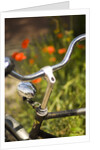 Old Bicycle and Flowers by Anonymous