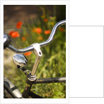 Old Bicycle and Flowers by Anonymous