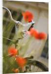 Old Bicycle and Flowers by Anonymous