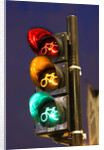 Bicycle Traffic Light by Anonymous