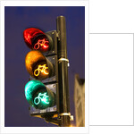 Bicycle Traffic Light by Anonymous