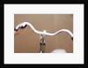 Bicycle Handlebars by Anonymous