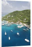 Soper's Hole Marina on Frenchman's Cay in Tortola by Anonymous