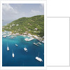 Soper's Hole Marina on Frenchman's Cay in Tortola by Anonymous