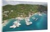 Soper's Hole Marina on Frenchman's Cay in Tortola by Anonymous