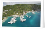 Soper's Hole Marina on Frenchman's Cay in Tortola by Anonymous