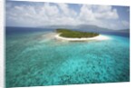 Green Cay in British Virgin Islands by Anonymous
