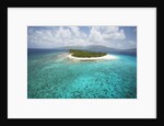 Green Cay in British Virgin Islands by Anonymous