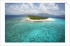 Green Cay in British Virgin Islands by Anonymous