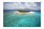 Green Cay in British Virgin Islands by Anonymous