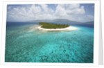 Green Cay in British Virgin Islands by Anonymous