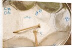 Steel Drum and Drumsticks by Anonymous