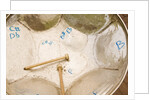 Steel Drum and Drumsticks by Anonymous