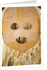 Locally Made Mask For Sale on St. Thomas by Anonymous
