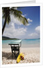 Lifeguard Station on Beach on Magens Bay by Anonymous